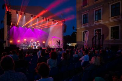 Zdjęcie przedstawiające koncert podczas festiwalu w 2021 roku
